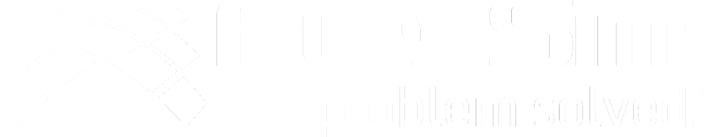 FlexSim